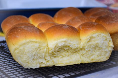 Homemade Sweet Dinner Rolls