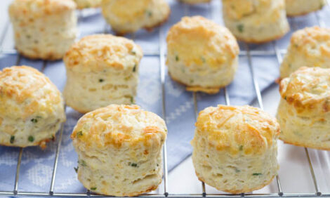 Mini Parmesan Cheese and Herb Scones1