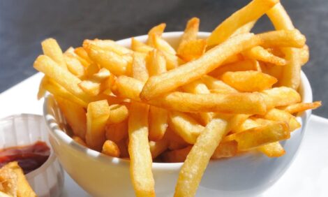 American French Fries