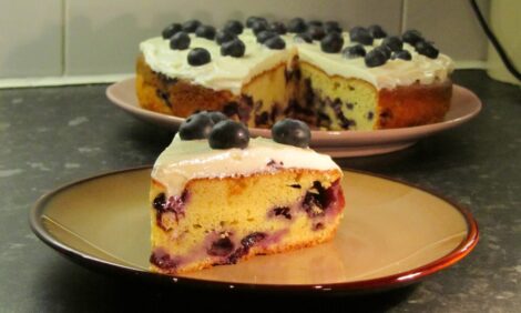 Blueberry Soured Cream Cake