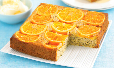 Orange Poppy Seed Cake