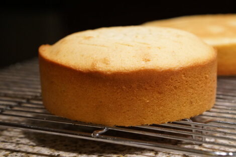 Vanilla Sponge Cake