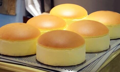 Fluffy Jiggly Japanese Cheesecake