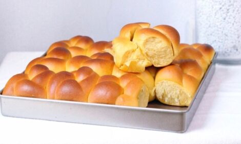 Buttersoft Pumpkin Bread Rolls