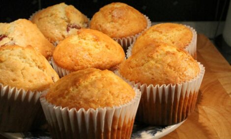 Simple Fluffy Homemade Muffins