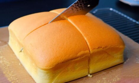 Super Soft Irresistible Japanese Sponge Cake