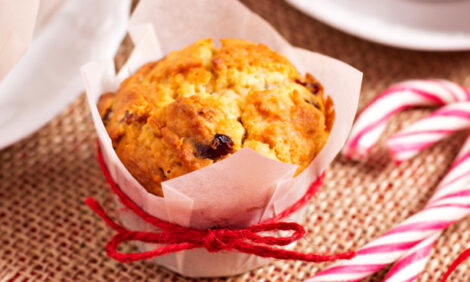 Festive spiced cranberry muffin recipe