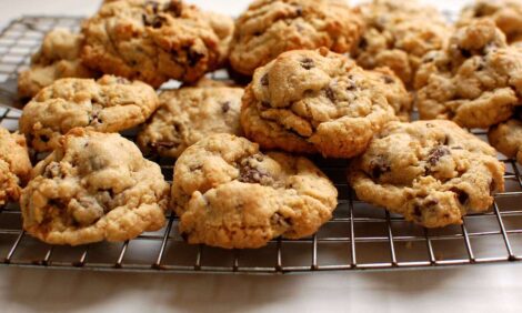 Soft Chewy Chocolate Chip Cookies