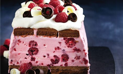 Choc raspberry ice cream cake