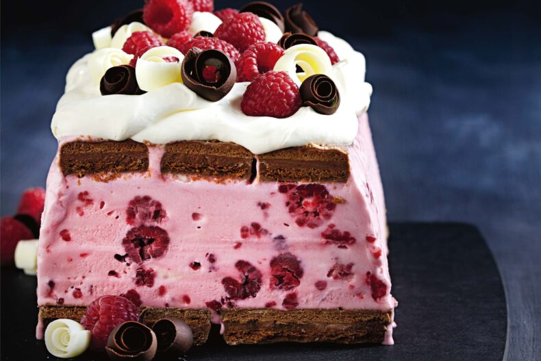 Choc raspberry ice cream cake