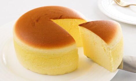 Bouncy japanese cheesecake