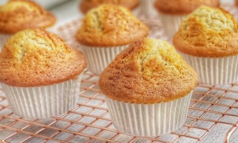 Orange Muffins