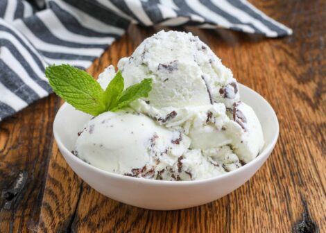 fresh mint chocolate chip ice cream