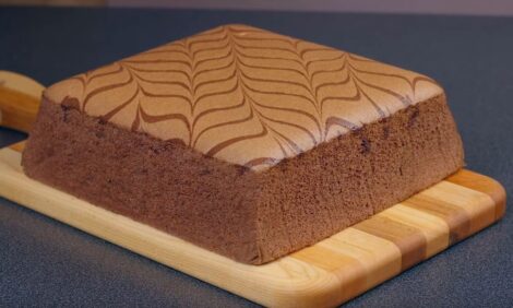 Chocolate Cotton Sponge Cake