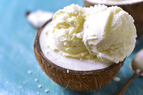 Coconut Milk Ice Cream