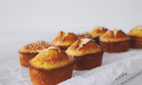 LEMON ALMOND AND COCONUT FRIANDS