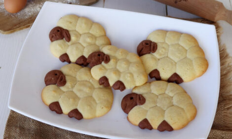 Sheep biscuits