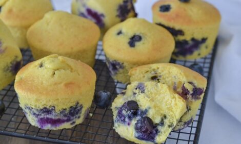 Soft and delicious blueberry muffins