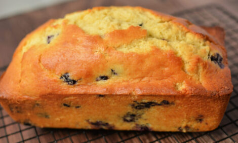 Easy Blueberry Muffin Bread
