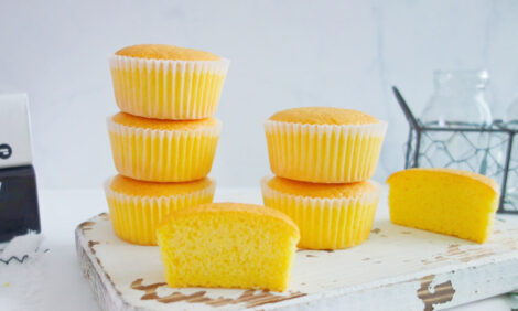 Super delicious sponge cupcakes