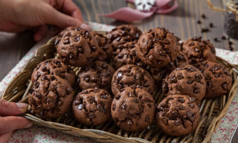 Soft chocolate biscuits