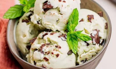 Mint Chocolate Chip Ice Cream recipes