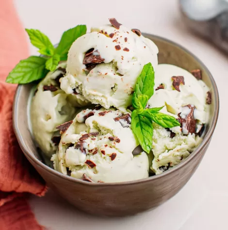 Mint Chocolate Chip Ice Cream recipes