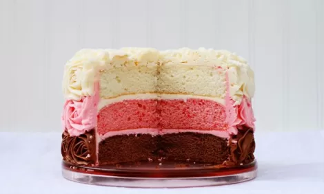 Neapolitan Cake