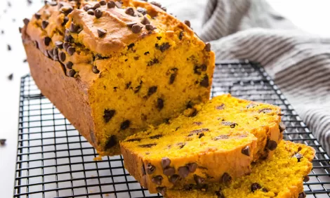 Chocolate Chip Pumpkin Bread recipes