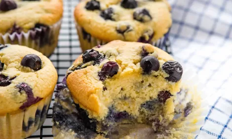 Low Carb Blueberry Muffins recipes