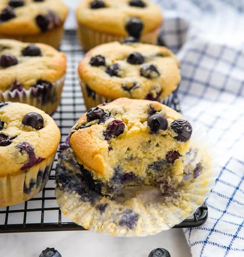 Low Carb Blueberry Muffins recipes