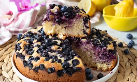 Yogurt and blueberry cake