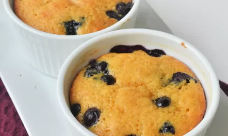 Blueberry Pumpkin Muffin recipes