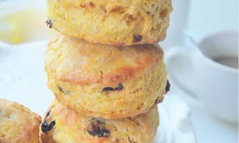 Raisins Biscuit recipes