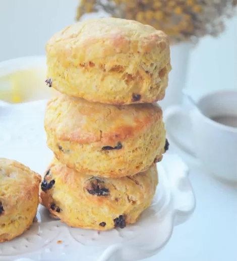 Raisins Biscuit recipes